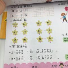 Рабочие тетради по китайскому языку для начинающих 2 шт цветные