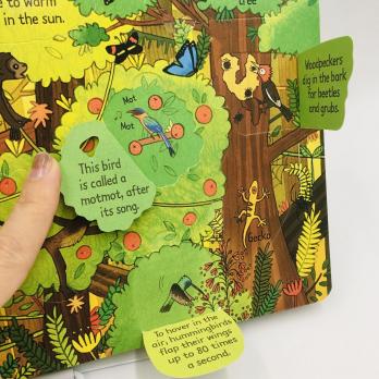 Look Inside the Jungle книга на английском языке про джунгли для детей издательства Usborne
