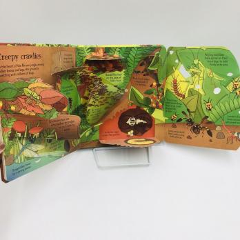 Look Inside the Jungle книга на английском языке про джунгли для детей издательства Usborne