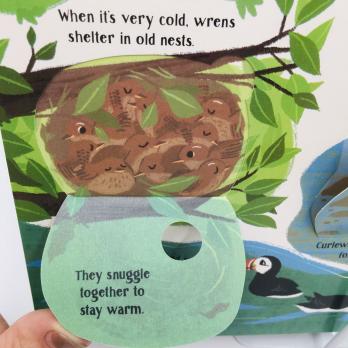 Look Inside Nature книга на английском для детей издательство Usborne