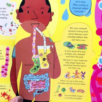 Книга на английском для детей See Inside Germs An Usborne Flap Book