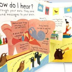 How do I see? детская книга на английском Usborne Lift-the-flap