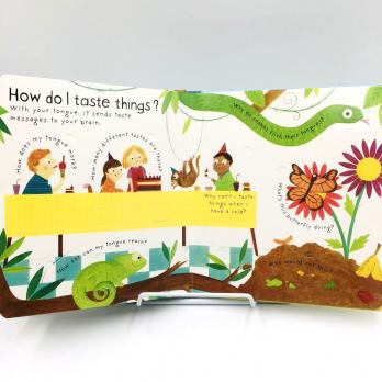 How do I see? детская книга на английском Usborne Lift-the-flap