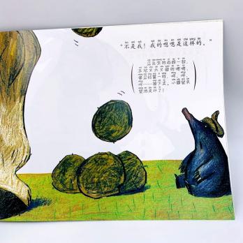 книга на китайском языке для детей с подписанным пиньинь "КТО КАК-КАК МНЕ НА ГОЛОВУ?"