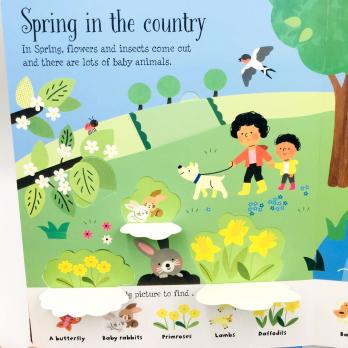 Seasons and Weather, "Сезоны и погода" детская книга на английском от Usborne Lift-the-flap