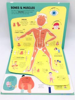 How Your Body Works книга энциклопедия на английском языке для детей издательства Usborne серия Lift-the-Flap