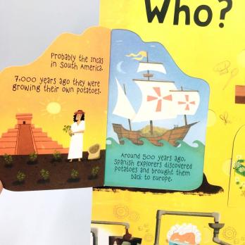 Questions and Answers about Food книга на английском для детей издательство Usborne серия Lift-the-Flap