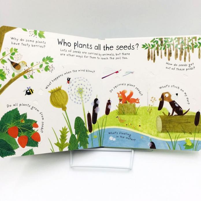 Wildflower перевод. How does a Flower grow?. Usborne Minis hand Lettering.