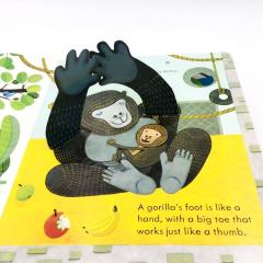 Peep Inside the Zoo книга для детей на английском языке издательство Usborne