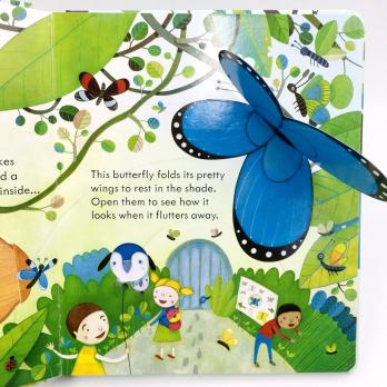 Peep Inside the Zoo книга для детей на английском языке издательство Usborne