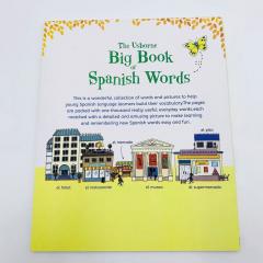 Большая книга испанских слов с озвучкой аудиоручкой, испанские книги издательство Usborne, купить Big Book of Spanish Words, купить Big Book of English Words, испанский словарь, книги на испанском для детей, купить, испанский для начинающих книги