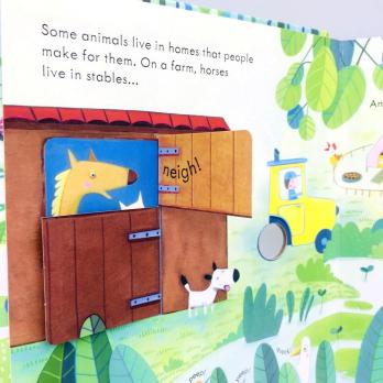 Animal Homes книга на английском языке для детей картон издательство Usborne серия peep inside