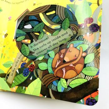 Animal Homes книга на английском языке для детей картон издательство Usborne серия peep inside