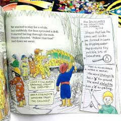 The MAGIC SCHOOL BUS книги для детей на английском, английские комиксы детям о науке, комиксы про науку на английском языке для детей, школьный автобус книги на английском, купить книги школьный автобус в оригинале, магазин английских книг для детей