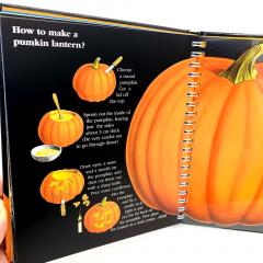 Хэллоуин История и истоки праздника Halloween книга на английском языке для детей, о хэллоуине детям купить книгу, как появился праздник хэллоуин книга, материалы для педагогов на Хэллоуин, книги о хэллоуине на английском, магазин shopverashop 