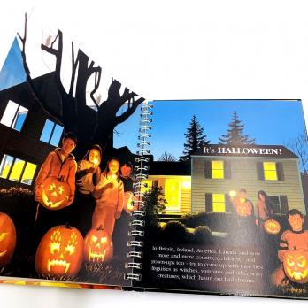 Хэллоуин История и истоки праздника Halloween книга на английском языке для детей, о хэллоуине детям купить книгу, как появился праздник хэллоуин книга, материалы для педагогов на Хэллоуин, книги о хэллоуине на английском, магазин shopverashop 