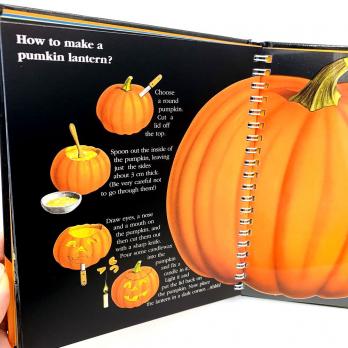 Хэллоуин История и истоки праздника Halloween книга на английском языке для детей, о хэллоуине детям купить книгу, как появился праздник хэллоуин книга, материалы для педагогов на Хэллоуин, книги о хэллоуине на английском, магазин shopverashop 