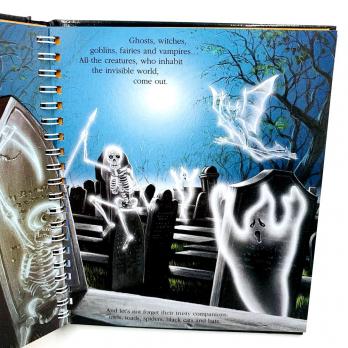Хэллоуин История и истоки праздника Halloween книга на английском языке для детей, о хэллоуине детям купить книгу, как появился праздник хэллоуин книга, материалы для педагогов на Хэллоуин, книги о хэллоуине на английском, магазин shopverashop 