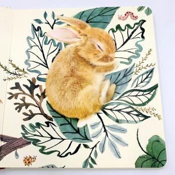 Happy Easter Little Bunny картонная книга на английском языке о Пасхе, Пасха книги на английском, купить пасхальные книги на английском, английские книги про Пасху для малышей, книги на английском в магазине английской литературы shopverashop