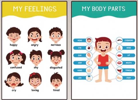 FEELINGS, BODY PARTS плакат на английском языке для кабинета английского, плакаты для английского детского сада, материалы для школ английского языка, пособия для педагогов английского, магазин английской книги, купить плакаты на английском языке