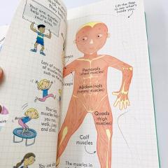 LOOK INSIDE YOUR BODY книга на английском языке с открывающимися флэпами Usborne, Тело Человека