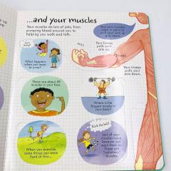 LOOK INSIDE YOUR BODY книга на английском языке с открывающимися флэпами Usborne, Тело Человека