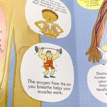 LOOK INSIDE YOUR BODY книга на английском языке с открывающимися флэпами Usborne, Тело Человека