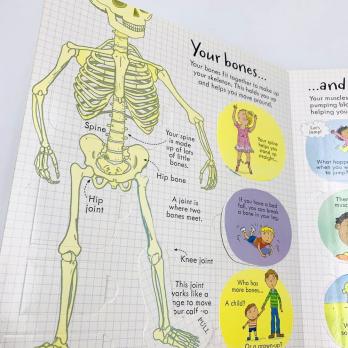 LOOK INSIDE YOUR BODY книга на английском языке с открывающимися флэпами Usborne, Тело Человека