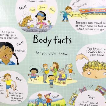 LOOK INSIDE YOUR BODY книга на английском языке с открывающимися флэпами Usborne, Тело Человека