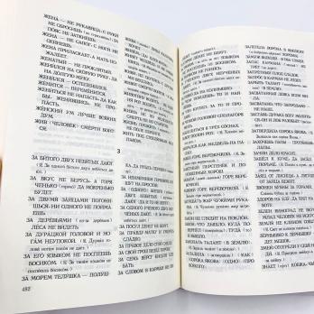 Русско-китайский словарь пословиц и поговорок, купить словарь китайского, как переводить пословицы на китайский, китайские пословицы, русские пословицы перевод на китайский, словарь русских идиом с переводом на китайский , словарь русско-китайский