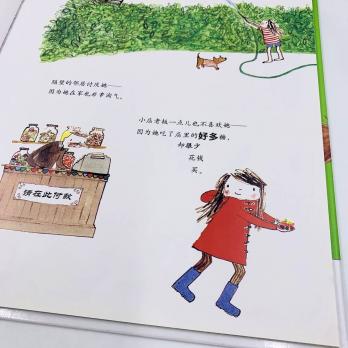 китайские книги про новый год, новогодняя книга на китайском языке, книга на китайском в подарок, купить детские книги на китайском, купить литературу на китайском языке для детей, школьный китайский, китайские книги для школьников купить с доставкой