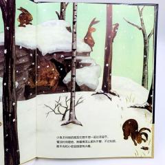 китайские книги про новый год, новогодняя книга на китайском языке, книга на китайском в подарок, купить детские книги на китайском, купить литературу на китайском языке для детей, школьный китайский, китайские книги для школьников купить с доставкой