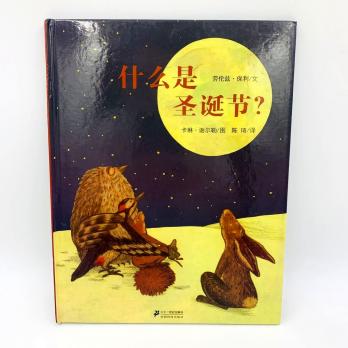 китайские книги про новый год, новогодняя книга на китайском языке, книга на китайском в подарок, купить детские книги на китайском, купить литературу на китайском языке для детей, школьный китайский, китайские книги для школьников купить с доставкой