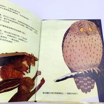 китайские книги про новый год, новогодняя книга на китайском языке, книга на китайском в подарок, купить детские книги на китайском, купить литературу на китайском языке для детей, школьный китайский, китайские книги для школьников купить с доставкой