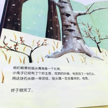 китайские книги про новый год, новогодняя книга на китайском языке, книга на китайском в подарок, купить детские книги на китайском, купить литературу на китайском языке для детей, школьный китайский, китайские книги для школьников купить с доставкой