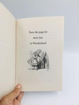 Алиса в стране чудес книга на английском языке
