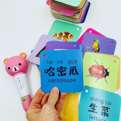 108 карточек первые слова на китайском и английском языке с озвучкой аудиоручкой, озвучивается и китайский, и английский язык