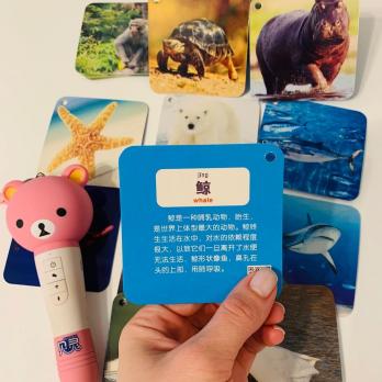 УЦЕНКА "Животные" карточки на китайском языке с озвучкой китайской аудиоручкой и по QR-кодам