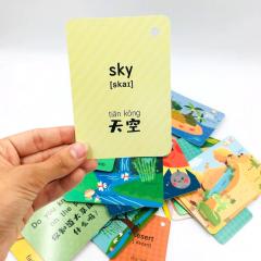 NATURE AND WEATHER ПРИРОДА И ПОГОДА 54 самые плотные карточки на английском и на китайском с озвучкой аудиоручкой на английском и китайском языках