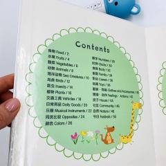 Детский картонный билингвальный иллюстрированный словарь на китайском и английском языках, базовая лексика на все темы с озвучкой аудиоручкой на китайском и английском языках, магазин китайских книг