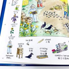 Аудиоручка для чтения на китайском, аудиоручка читает книги на китайском, китайский словарь, книги для изучения китайского языка, книги для чтения аудиоручкой на китайском языке, китайские книги с озвучкой, купить словарь на китайском для детей
