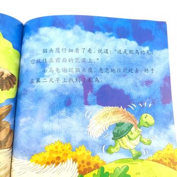 Маленький Ньютон книги на китайском языке, книга на китайском языке про черепаху, книга на китайском для детей, купить китайскую литературу для школьников, книги о науке на китайском, купить китайские книги, магазин китайских книг, шопверашоп