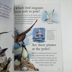 Купить книги I Wonder Why, I Wonder Why Penguins Can’t Fly  купить, купить книги на английском для детей, магазин английских книг, познавательные книги на английском детям, интересные книги на английском для детей