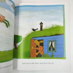 Купить книги Max Velthuijs про лягушку, Frog in love купить, Frog in love купить на английском, детские книги на английском, магазин английских книг для детей, детская литература на английском, книги на английском для самых маленьких