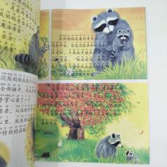 Детские книги на китайском, Волшебный поцелуй книга на китайском купить, магазин китайских книг, китайские книги для детей купить, китайская литература для детей купить, книги на китайском купить