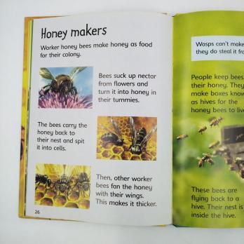 Bees and Wasps книга купить, книги на английском для детей, энциклопедии на английском купить, детская литература на английском, издательство Usborne книги на английском купить, познавательные книги детям купить