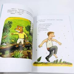 城里漂亮的巨人 купить книгу на китайском, Новый наряд Великана книга на китайском языке, Джулия Дональдсон на китайском купить книги, книги на китайском для детей купить, магазин китайских книг для детей, детские книги на китайском купить, shopverashop