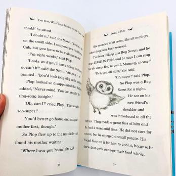 The Owl Who Was Afraid of the Dark купить книгу на английском языке, детская книга про сову, книги на английском для детей, сова боялась темноты книга на английском, книги для школьников на английском, купить английскую детскую литературу оригинал